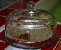 Homemade Pecan Pie